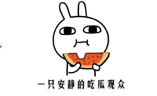 网上吃瓜什么意思,揭秘“吃瓜”背后的网络文化现象